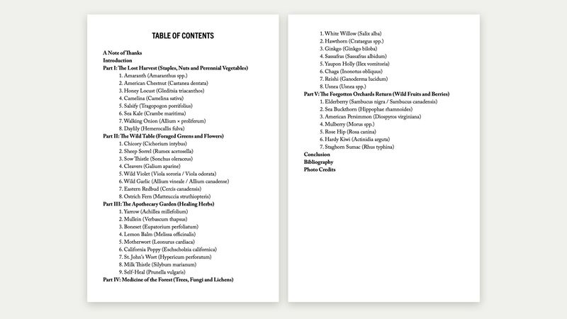Volume II table of contents listing all 40 chapters in five parts